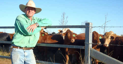 Grazier Ian McCamley poses on his Lowesby property near Rolleston. The photo was taken by his seven-year-old son Lawson McCamley. Grazier Ian McCamley poses on his Lowesby property near Rolleston. The photo was taken by his seven-year-old son Lawson McCamley.